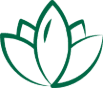 Sannovia Skincare